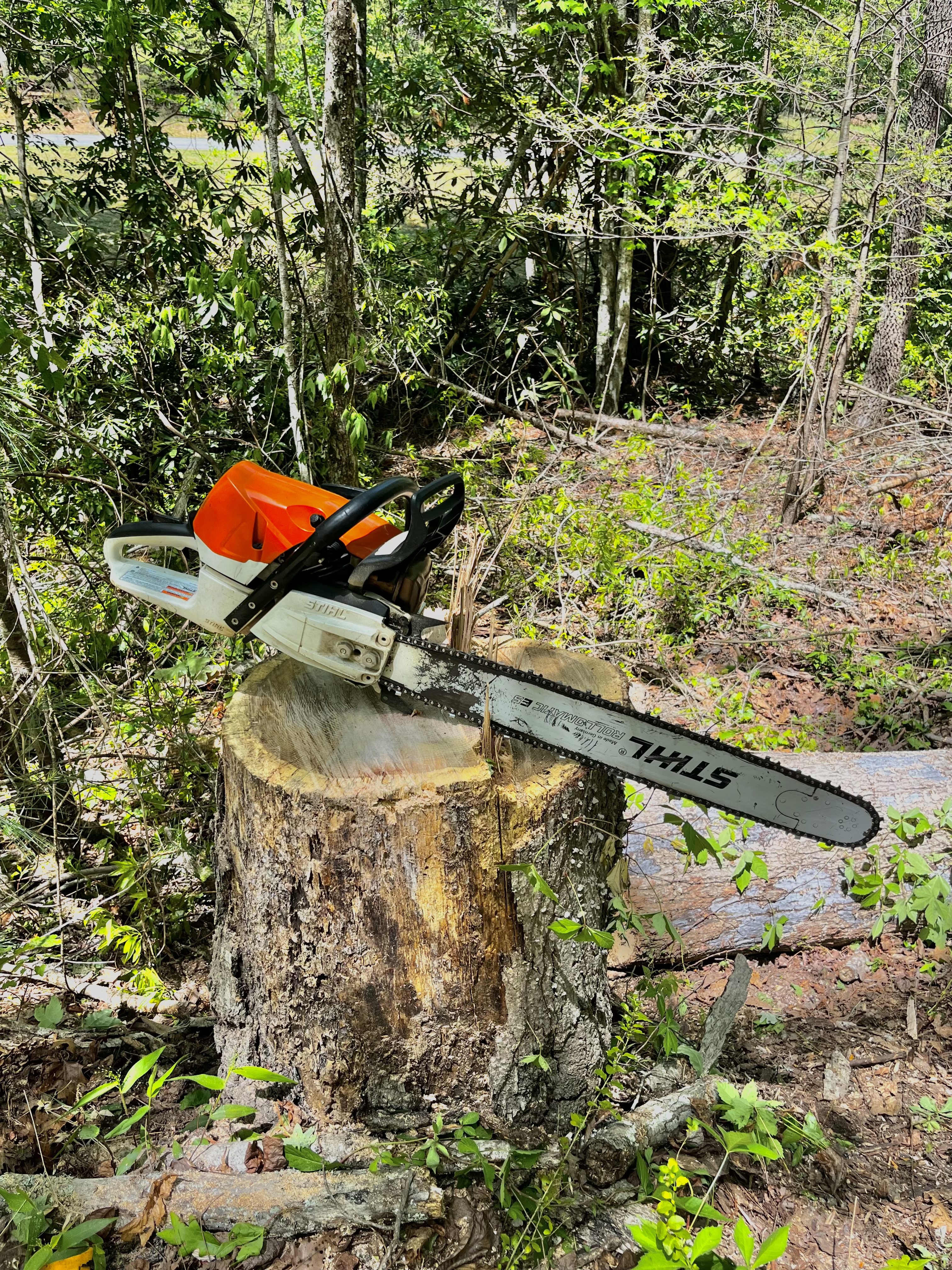 Tree felling